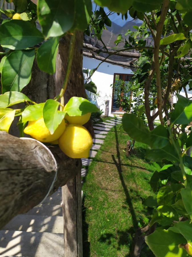 スカラ Casa Miaヴィラ エクステリア 写真
