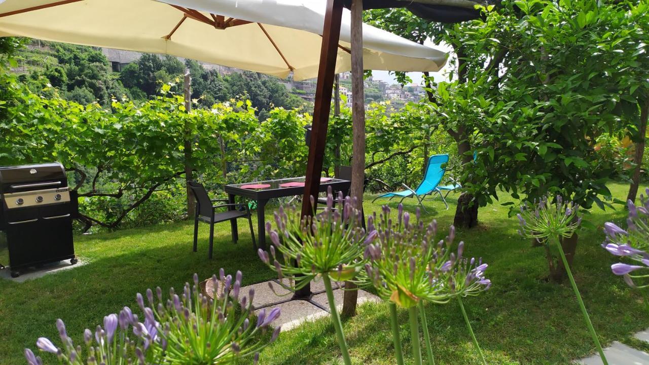 スカラ Casa Miaヴィラ エクステリア 写真